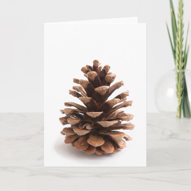 Pinecone Holiday Card (Front)