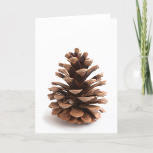 Pinecone Holiday Card