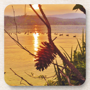 Pinecone Lake sunset Coaster