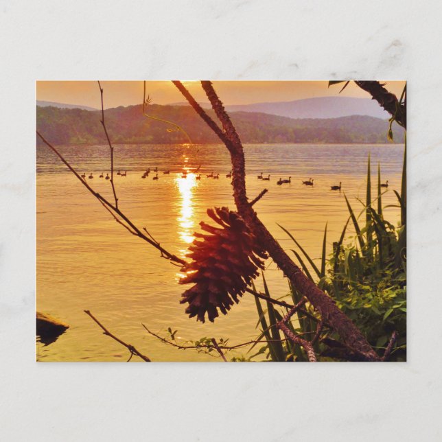 Pinecone Lake sunset Postcard (Front)