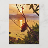 Pinecone Lake sunset