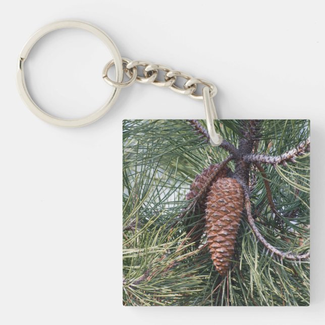 Pinecone on the pine tree keychain (Front)
