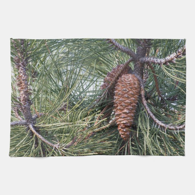 Pinecone on the pine tree kitchen towel (Horizontal)