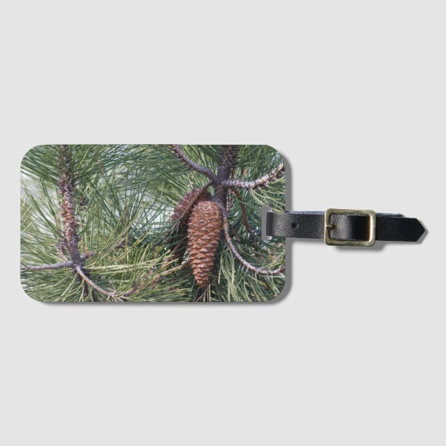 Pinecone on the pine tree luggage tag (Front Horizontal)