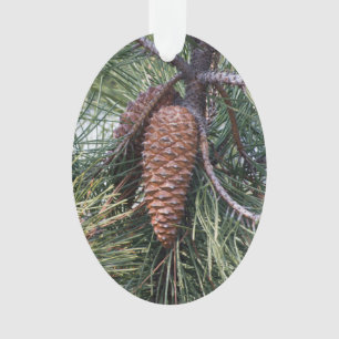 Pinecone on the pine tree ornament