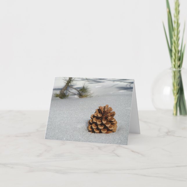 Pinecone on the Snow Notecard (Front)