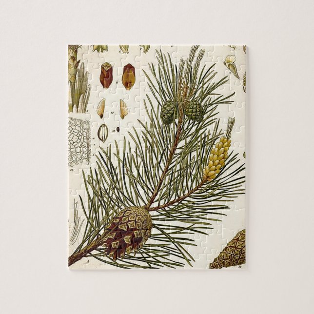 Pinecone Pine Tree Vintage Botanical Print Jigsaw Puzzle (Vertical)