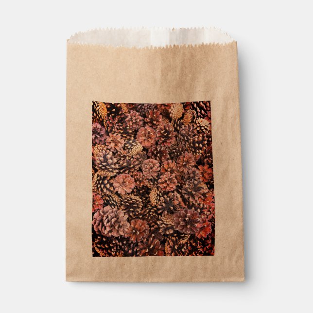 Pinecone rustic fall colourful natural winter brow favour bag (Front)
