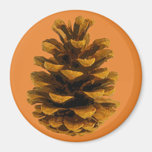 Pinecone rustic nature brown orange fall magnet