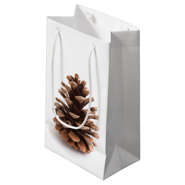 Pinecone Small Gift Bag (Front Angled)