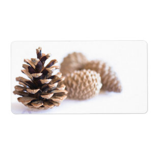 Pinecones