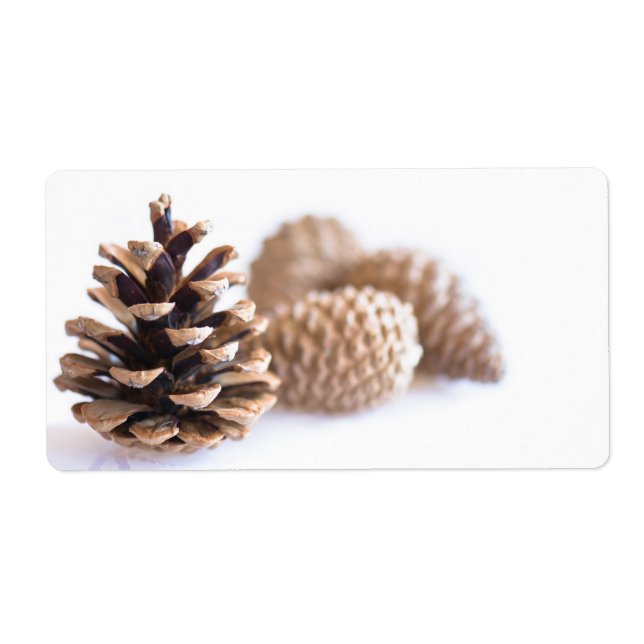 Pinecones (Front)