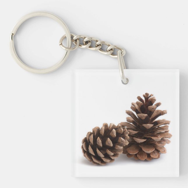 Pinecones (Devant)
