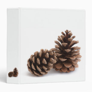 Pinecones Binder