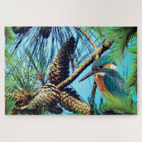 Pinecones Birds Animal Nature