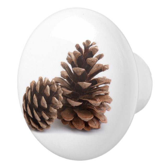 Pinecones Ceramic Knob (Right)