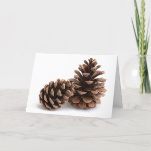 Pinecones Holiday Card