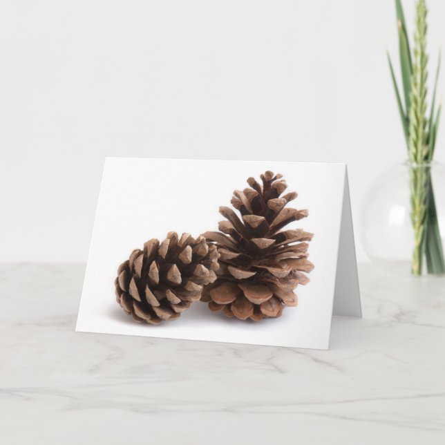 Pinecones Holiday Card (Front)