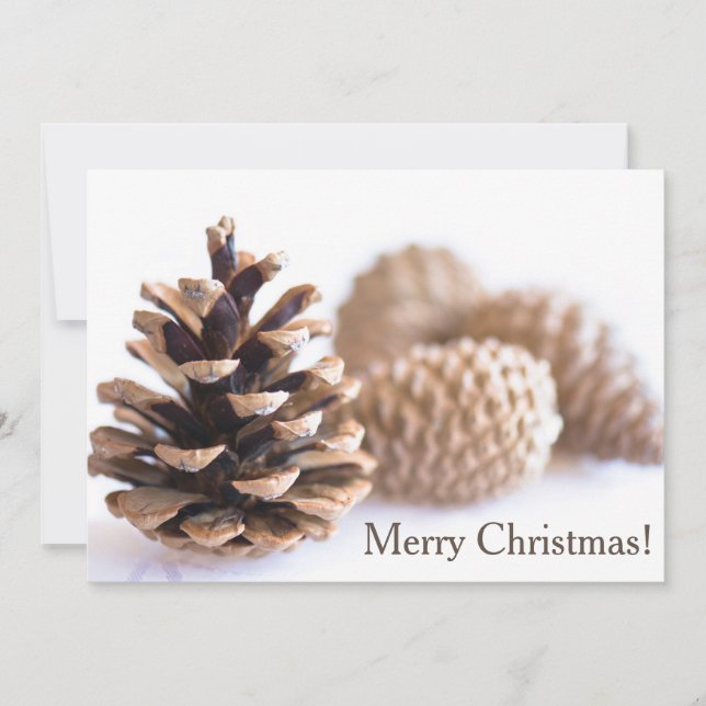 Pinecones Holiday Card (Front)