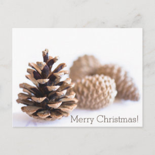 Pinecones Holiday Postcard