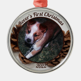 Pinecones Pet's First Christmas Photo with Year Metal Ornament