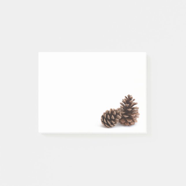 Pinecones Post-it Notes (Front)