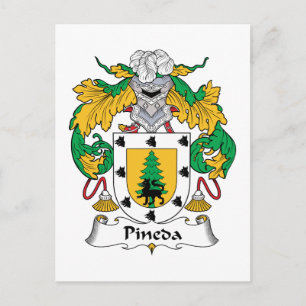 Pineda Family Crest Postcard
