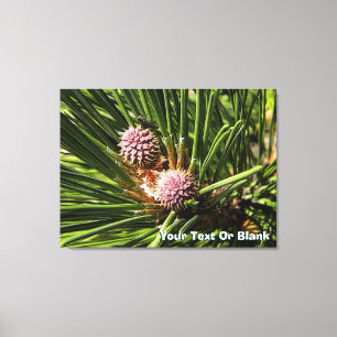 Pineflower Canvas Print
