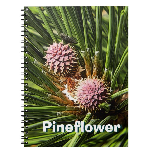 Pineflower Notebook (Front)