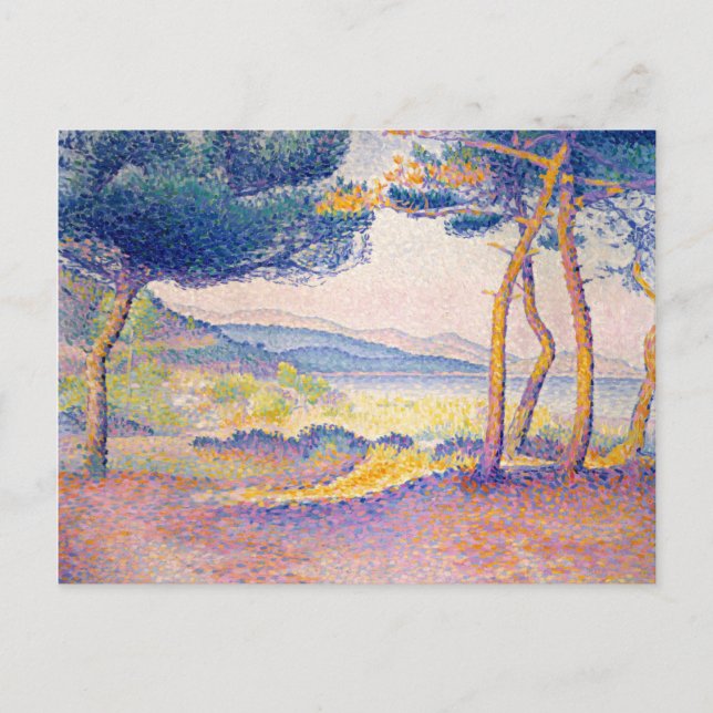 Pines Along the Shore Postcard (Front)