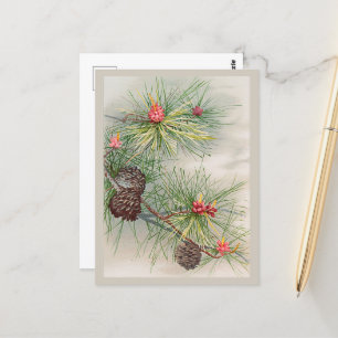 Pines and Flower Christmas Postcard