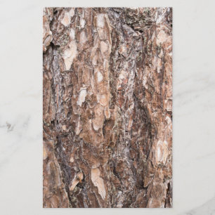 Pine's bark stationery