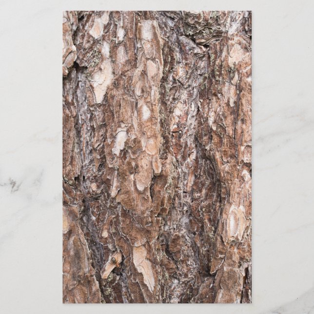 Pine's bark stationery (Front)