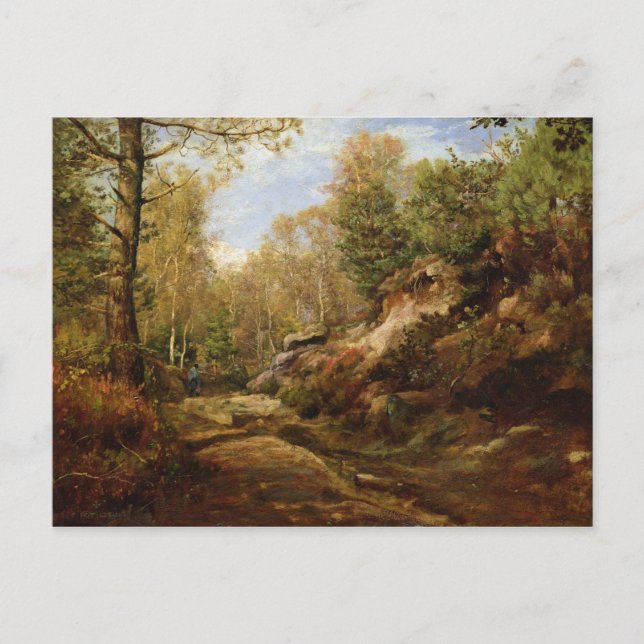 Pines & Birch Trees or The Forest of Postcard (Front)