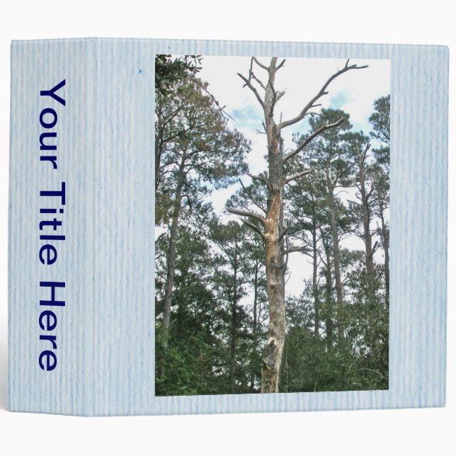 Pines on Beach Nature Trail OBX NC Binder (Front/Spine)