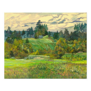 Pines Photo Print
