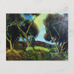 PINEWOOD IN TUSCANY POSTCARD