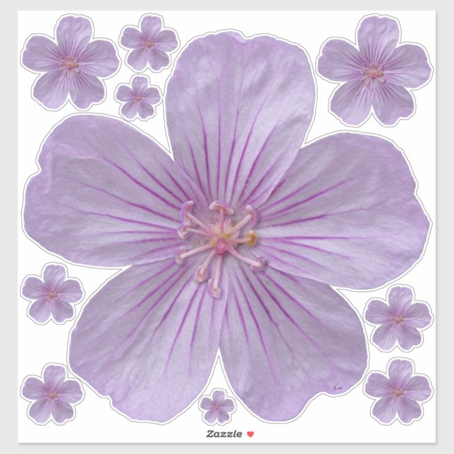 Pineywoods Geranium #1 (Sheet)