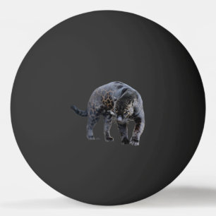 Ping Pong Jaguar Diablo 1 étoile noire balle de ping-pong