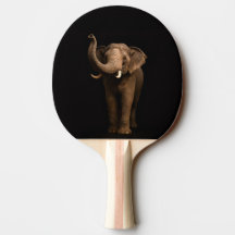 Raquette de ping-pong Black 4 Luxe, Mighty Elephan