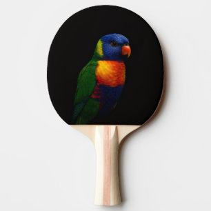 Ping Pong Raquette de ping-pong Black 4 Luxe, perroquet Lori