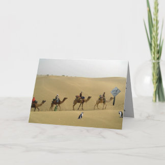 Pingouin dans la carte de désert