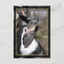 Pingouin Photo Zoo Mariage Cartes RSVP