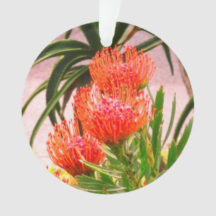 Pingouin Tango #1 Ornement