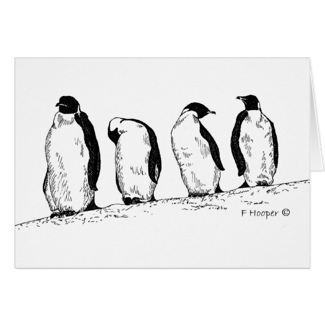 Pingouins (Devant horizontal)
