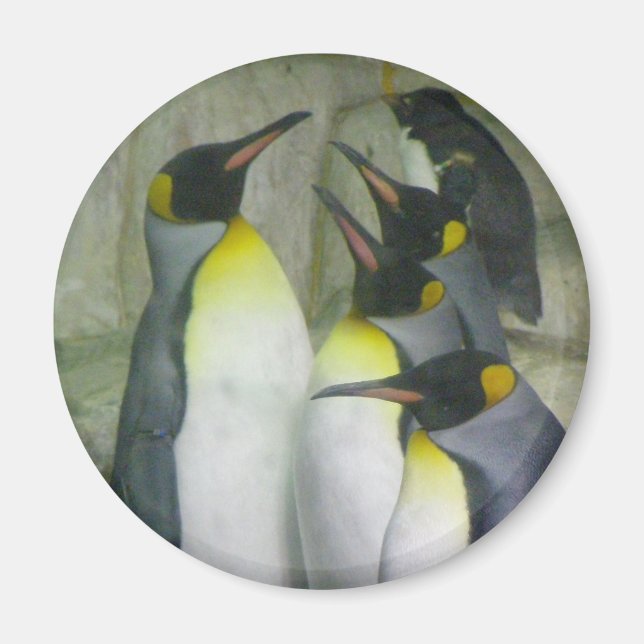 Pingouins, aimant (Devant)