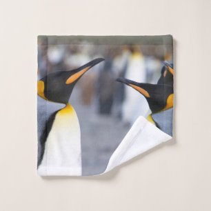 Pingouins du Roi