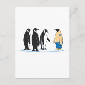 Pinguim Postcard