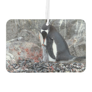 Pinguin with a chick air freshener