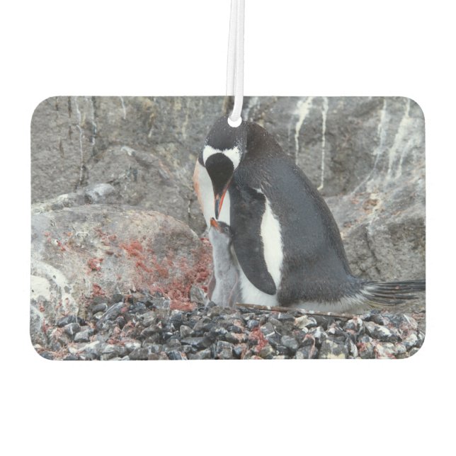 Pinguin with a chick air freshener (Back)